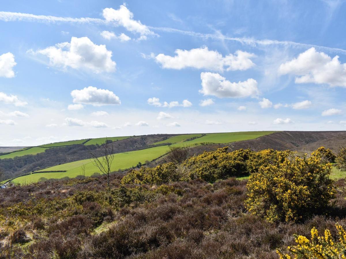 Brook Cottage-Uk44378 ワッシュフォード エクステリア 写真