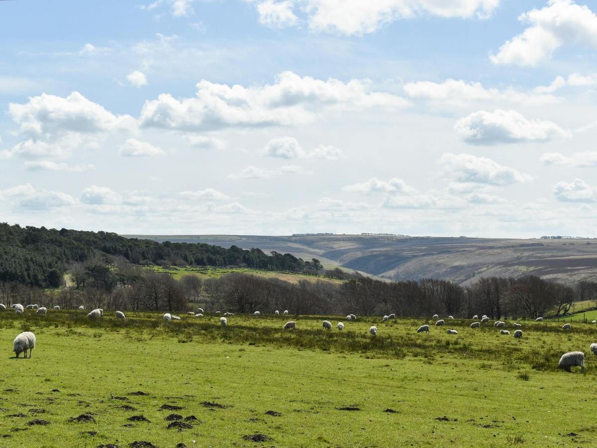 Brook Cottage-Uk44378 ワッシュフォード エクステリア 写真